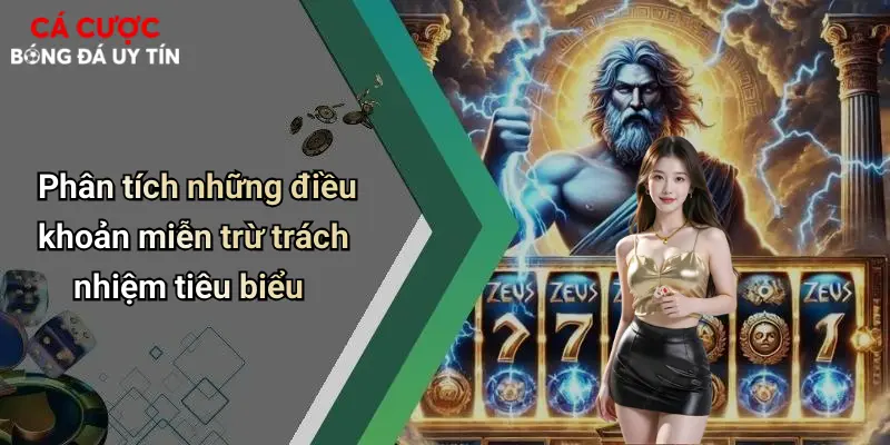 Phân tích những điều khoản miễn trừ trách nhiệm tiêu biểu