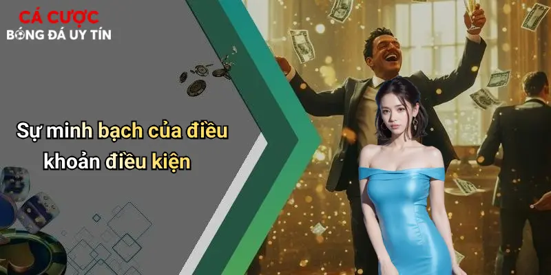Sự minh bạch của điều khoản điều kiện