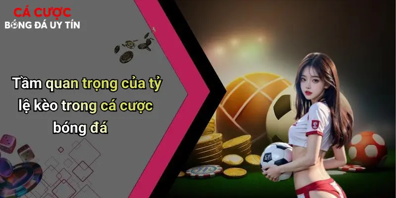 Tầm quan trọng của tỷ lệ kèo trong cá cược bóng đá