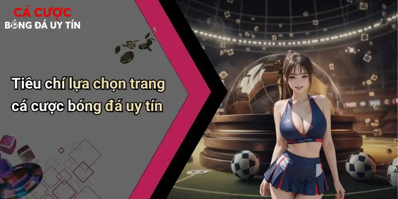 Tiêu chí lựa chọn trang cá cược bóng đá uy tín
