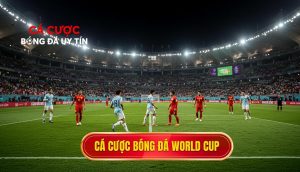 cá cược bóng đá World Cup