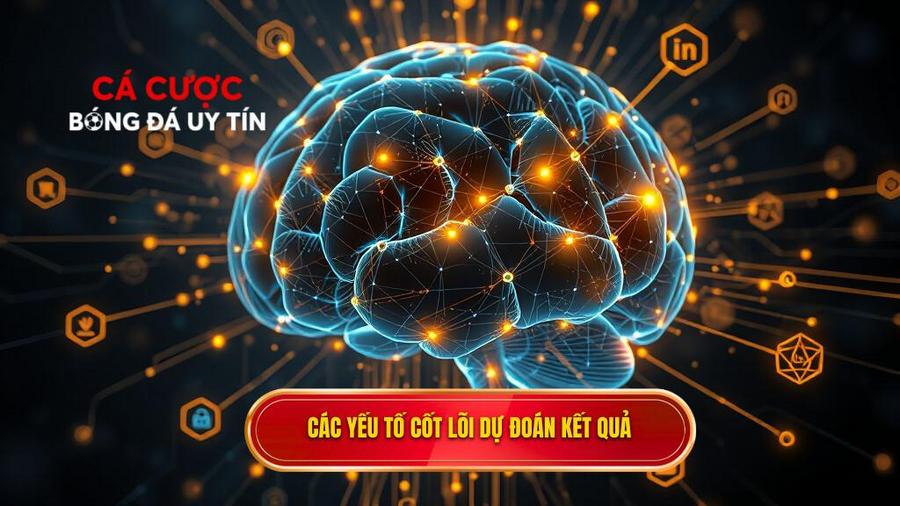 Các yếu tố cốt lõi ảnh hưởng đến kết quả dự đoán