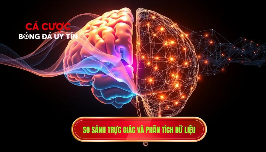 So sánh trực giác và phân tích dữ liệu
