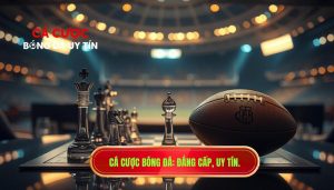 Cá cược bóng đá_ Đẳng cấp, uy tín.